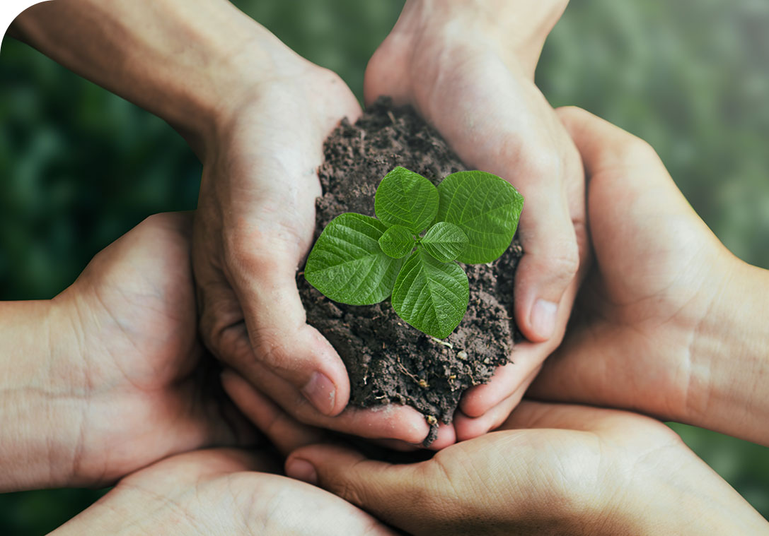 Yangzhou Leebo Environmental Protection Material Co., Ltd.