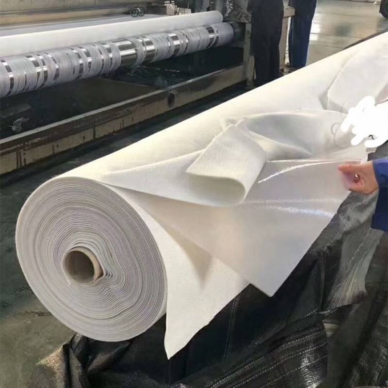 What is the basis for selecting raw materials for composite geomembrane