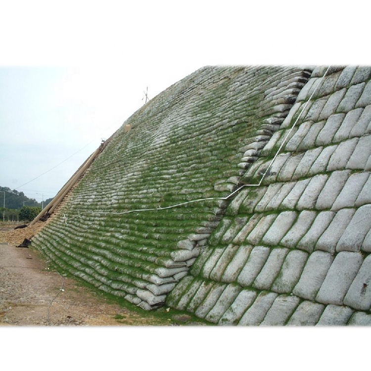 Planting bag geotechnical bag