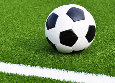 sports grass